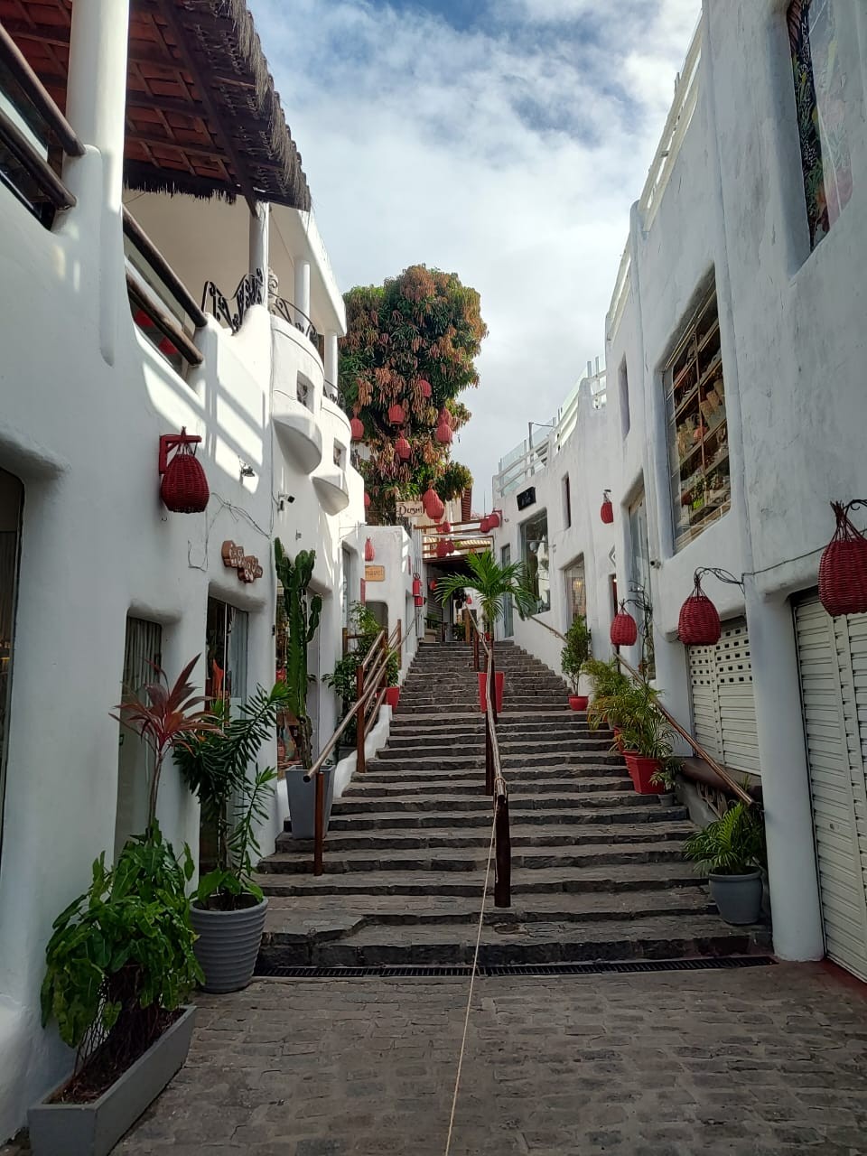 PRAIA DE PIPA
